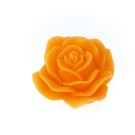 Rosa d. 170 mm in gift box con nastro